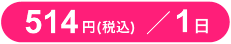 514円／1日